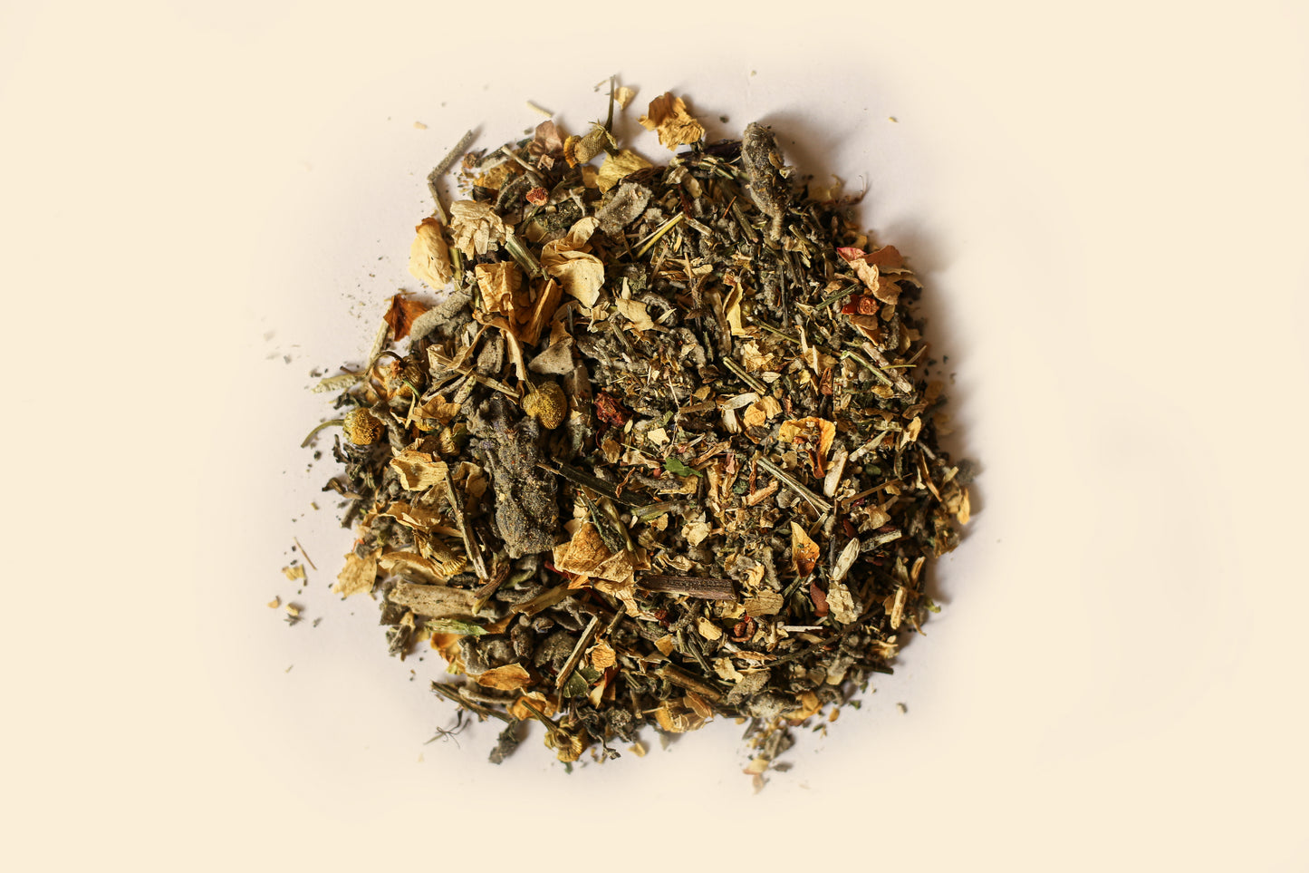 Sueña con los Angelitos